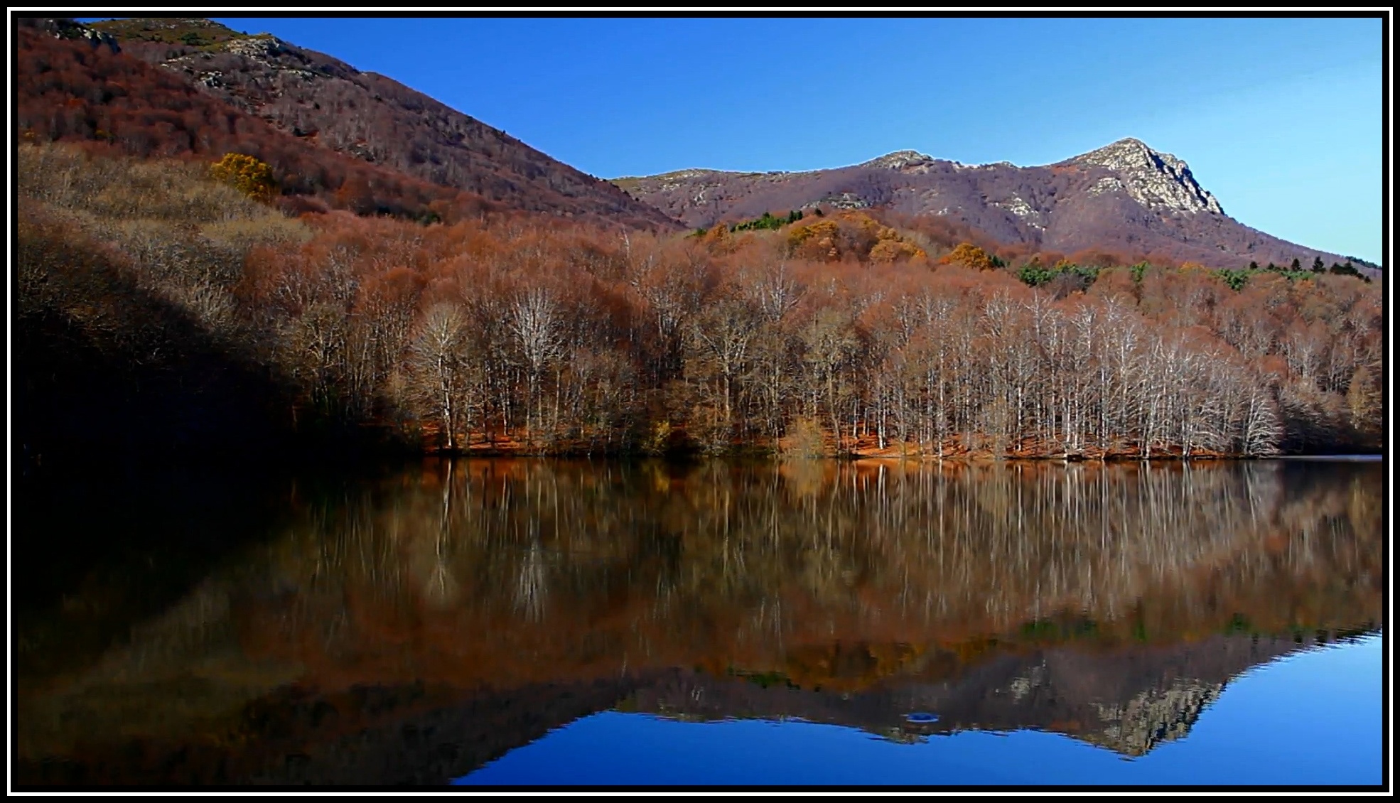 __ VIDEO:  Postals de Tardor __